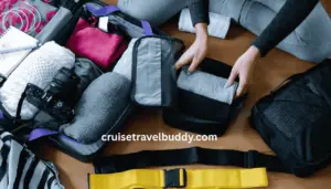 Cruise Travel Buddy